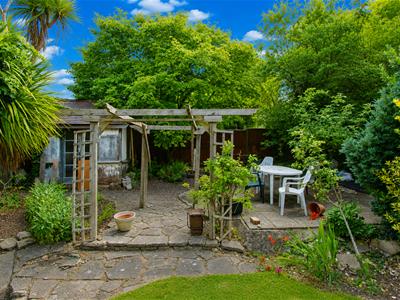 Picture 23